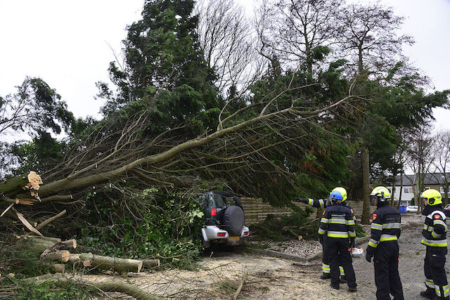 2018/14/20180118-10u51 GB 014 Stormschade Herbergh.jpg